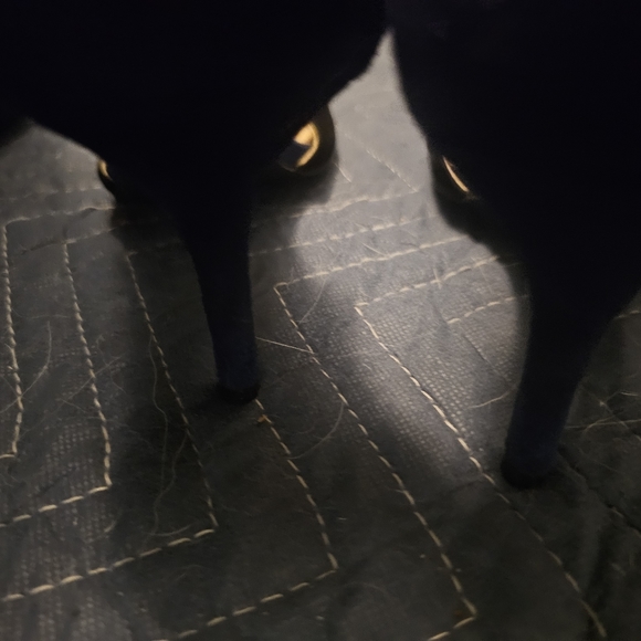 BCBG Generation Black Suede Pointed Toe with Navy Blue Strap Around Ankle - Picture 3 of 7